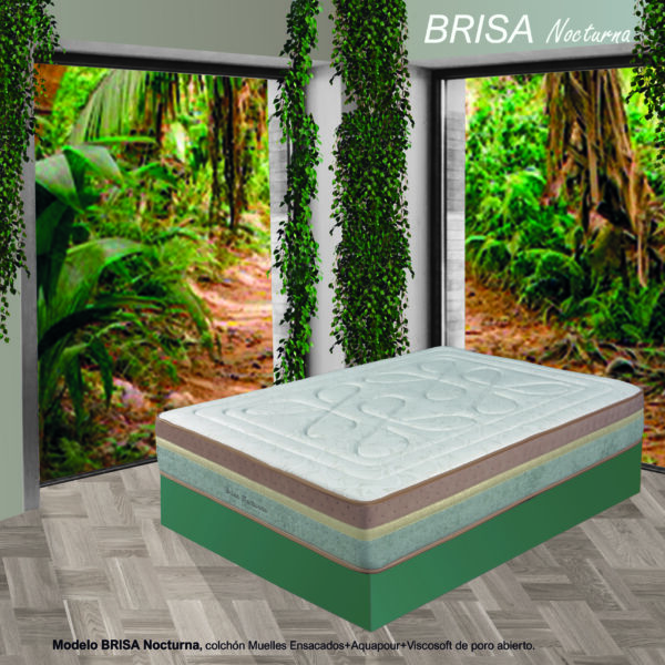 Brisa Nocturna - Imagen 2